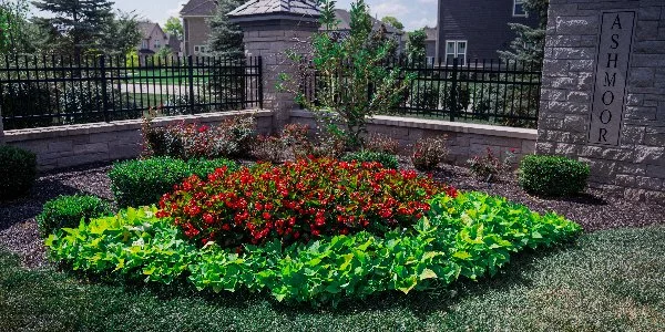 New annual flower landscape installed at HOA in Westfield, IN